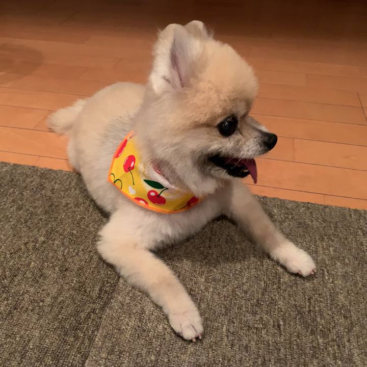 E128eeb5 4307 4b47 9d02 c4d7a7ef4873 1690805486922