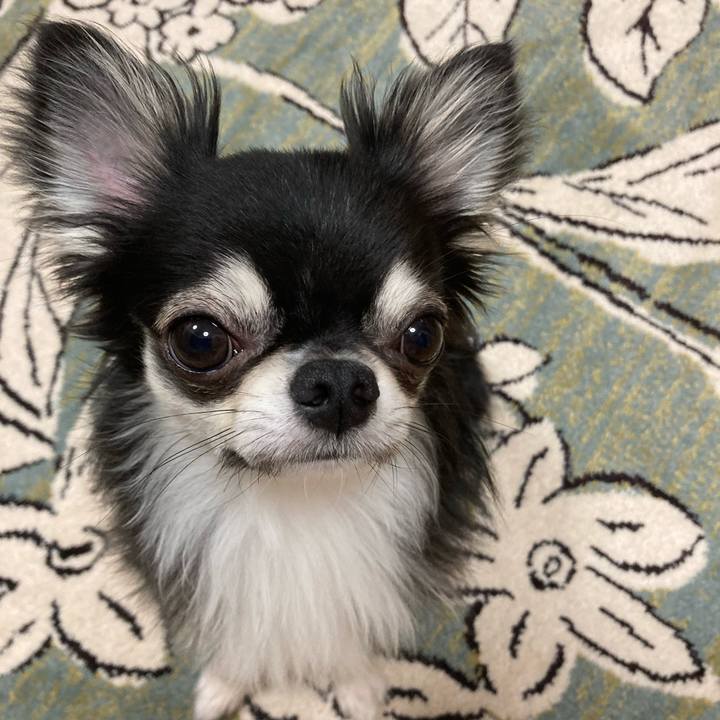 E1293222 4f8d 41b3 951c 321258d72e68 1625924125494