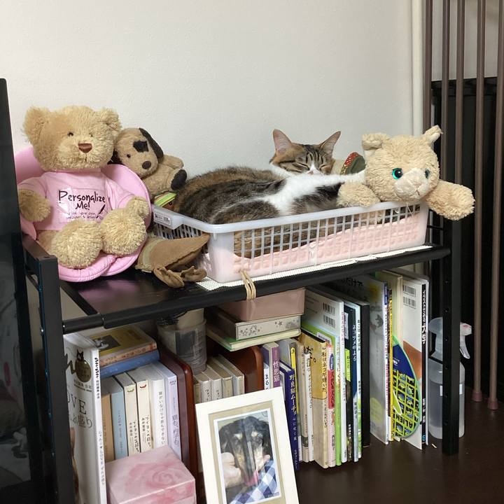 E12940a2 0889 403e 9211 dc086c718b10 1676330860670