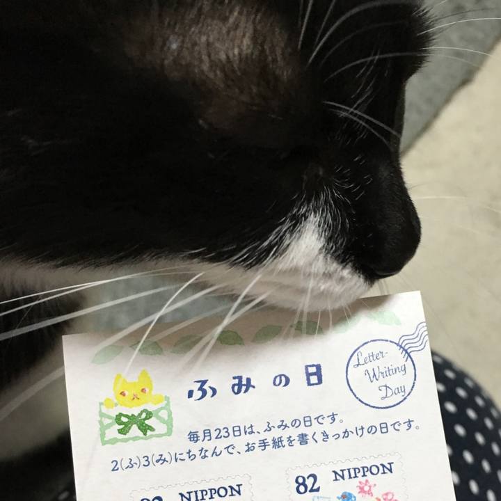 E1295ccc 4181 4962 8db7 7800155f6315 1532355510579