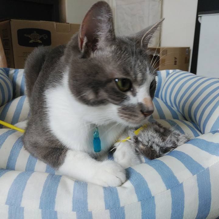 E1299d84 653d 42e9 9041 5dc92ac9ad9c 1594162236278