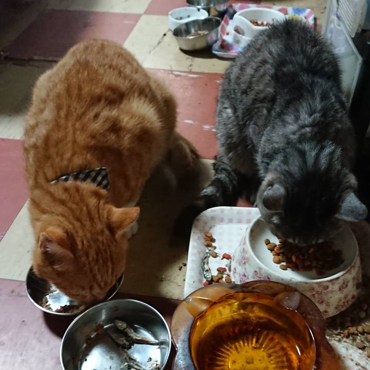 E129a943 a816 406c 8908 243e2967b4a9 1570315765417