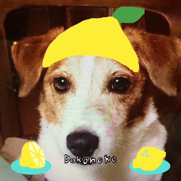 E129b238 27fc 469f 9bc3 0f4830e0afe9 1741079677292