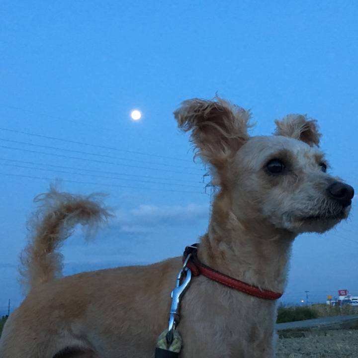 E129c95c 0953 406e b1b6 1c2b9922c736 1568581425352