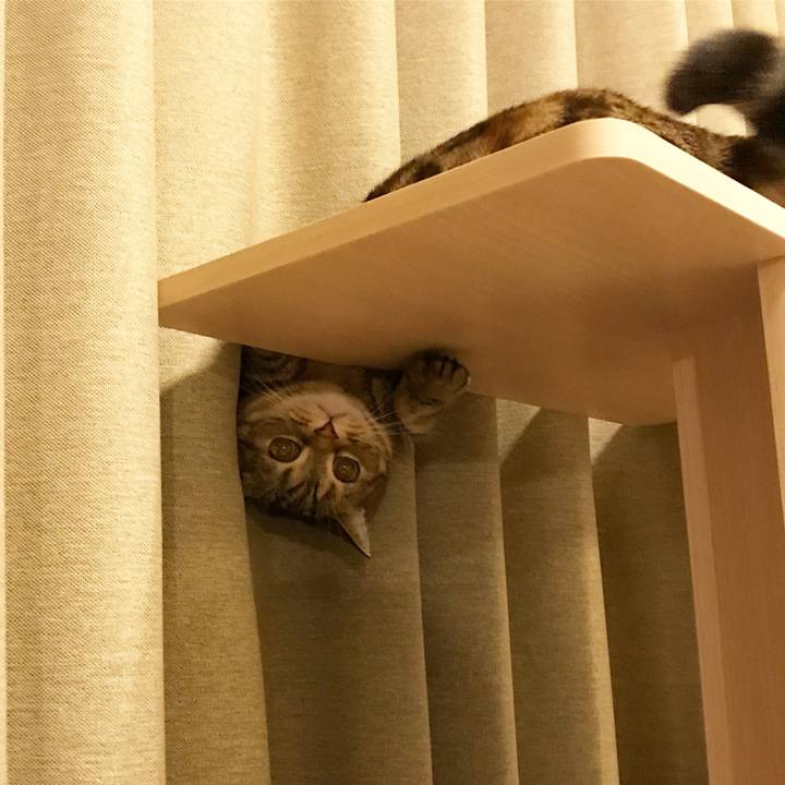 E129c991 0ff0 41e7 8a1e dcfb13c23085 1512555674872