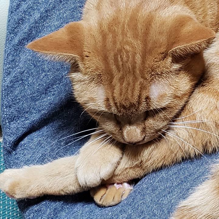 E129d603 389c 4d07 90a3 e39ea8972c3f 1719979007676