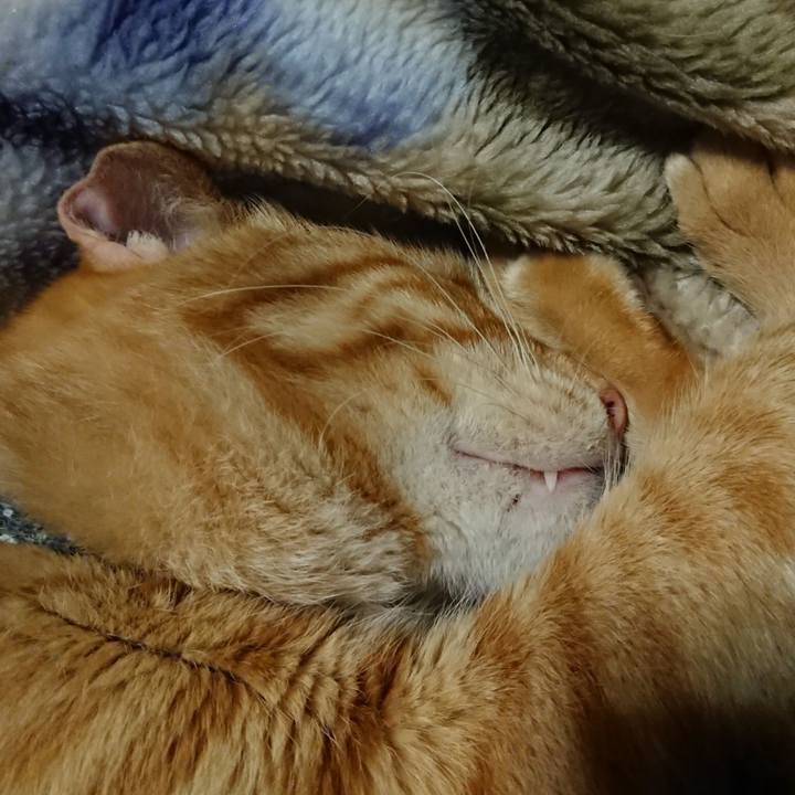 E12a0c43 df77 4a93 9d5c e320cb3aa250 1648730364957