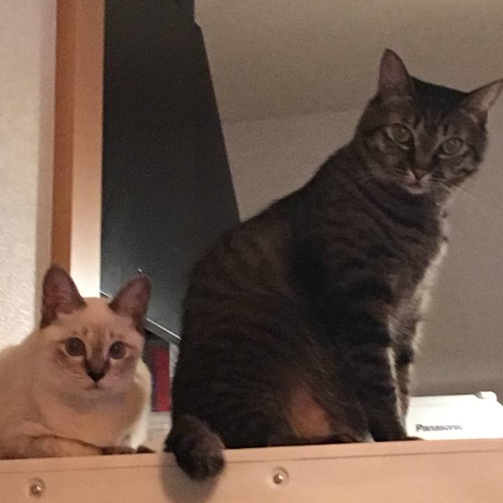 E12a6b30 a698 4a72 b25f 36e30acc5e61 1538567577347