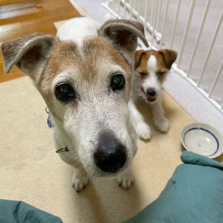 E12aa897 1594 4886 a452 d1647e9dcfba 1656834258078