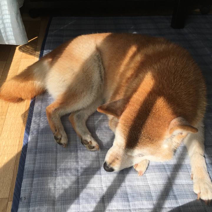 E12abcbd 12b2 4dd2 a9fd ff0b15e7badc 1508980679623