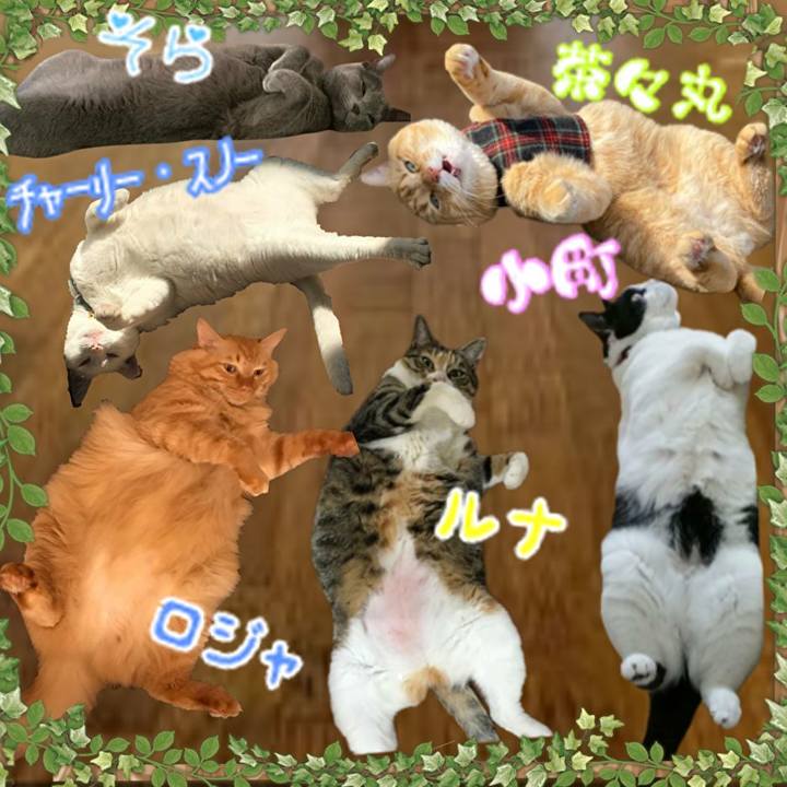 E12ad9a4 f311 483a 9020 97ec73012077 1619795720567