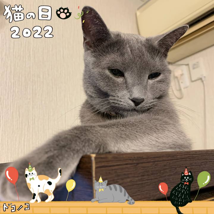 E12ada72 c9a1 4824 b572 b6afc260fa8b 1645527942029