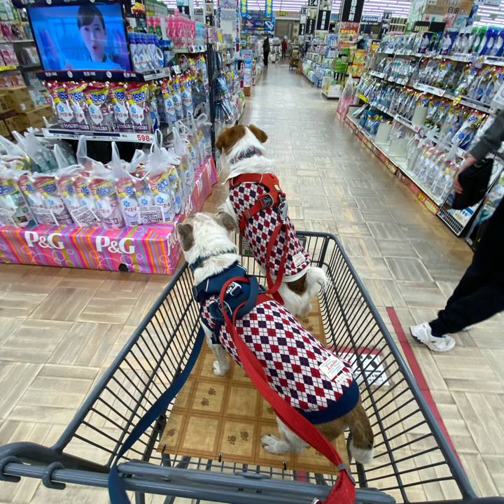 E12b19d1 b49a 4016 b7d6 3e29b7f5651c 1672651472899