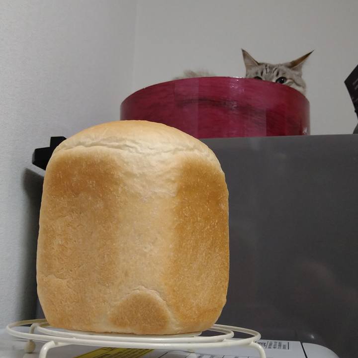 E12b1bf0 f329 47ec 9fa7 1b0e692d649f 1667821651066