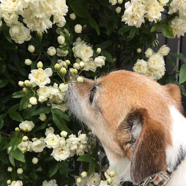 E12b46e2 1aa0 4099 a909 045056e3ded6 1587095724310