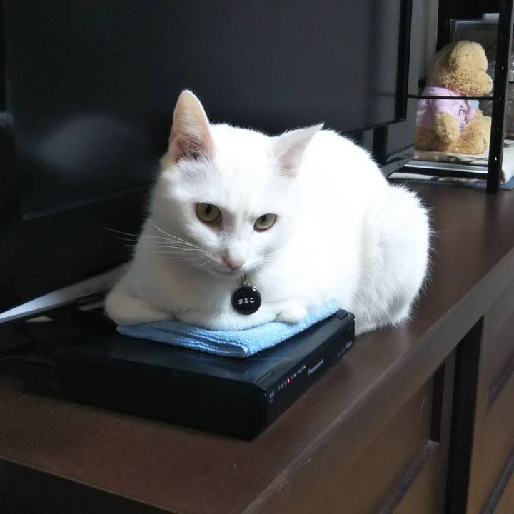 E12b85b3 aca4 4d9c 9be8 f55526f2bd22 1640644373122