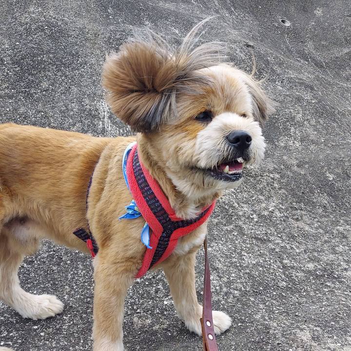 E12bcf9f 032c 4065 9cc4 41cb73a4e5aa 1653732071934