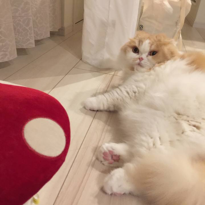 E12bfd17 5c55 4ac4 8322 41230d38f250 1575718907876