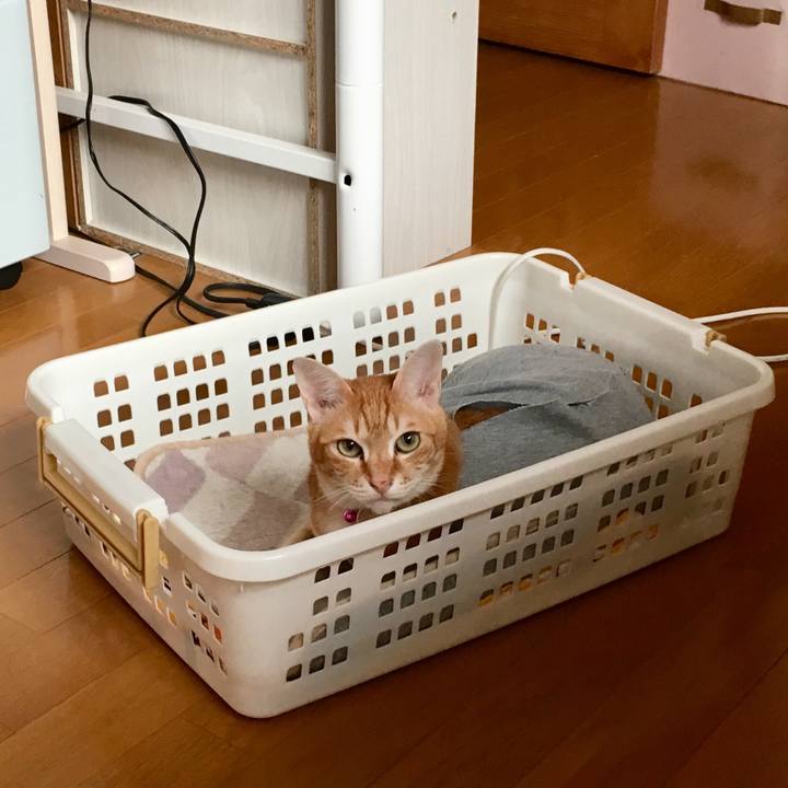 E12c0f69 5c29 4e16 853a d58c00b1a952 1521930417294