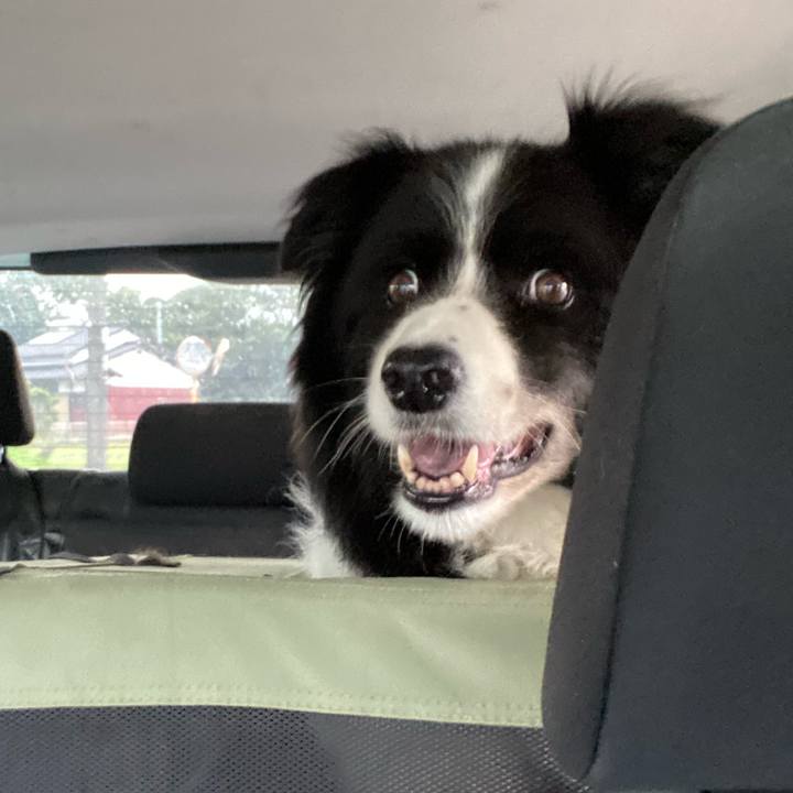 E12c2947 ae4a 4914 a966 1d81de58fe40 1692741582798