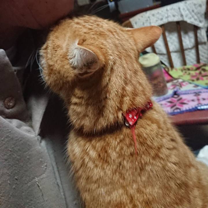 E12c871c ef07 4308 937b 3094a05e3fc0 1579639495832