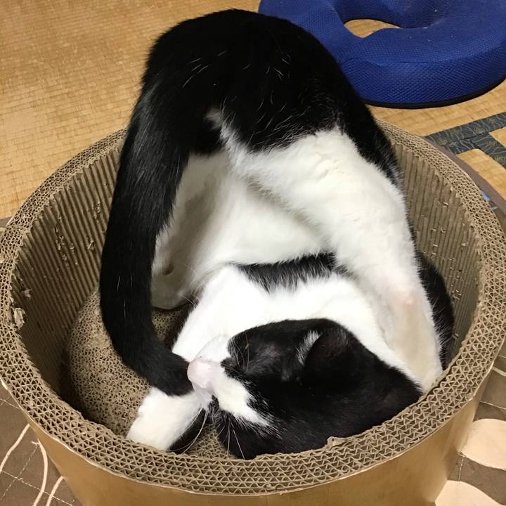 E12c89d9 e7a5 46c2 83c6 a53adeb21b7a 1761364590619