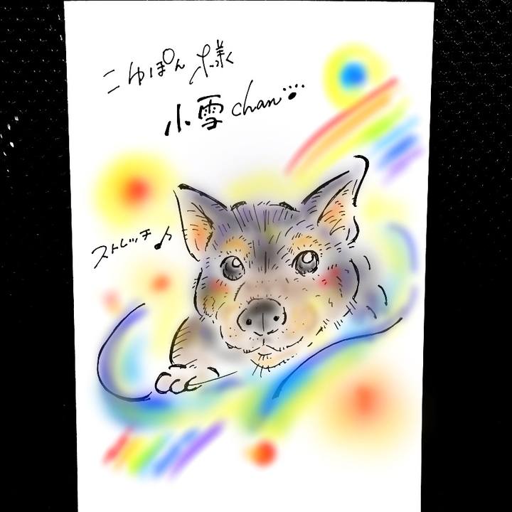 E12cc7d5 d595 463b a4e8 dd99fb0a222a 1569692063896