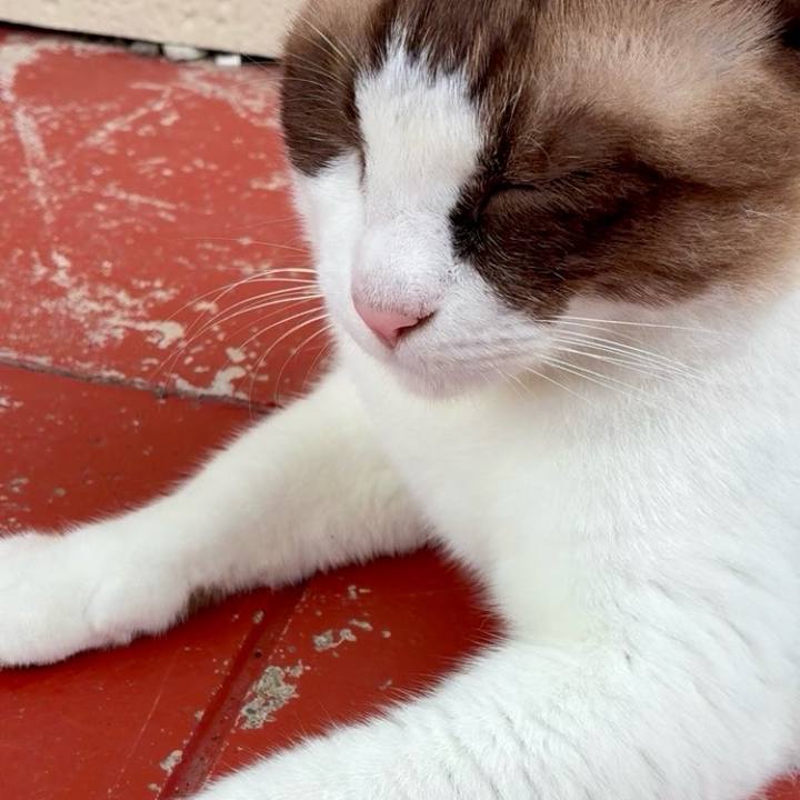 E12cde0f 5bc4 4e28 80b3 18c4f7d71987 1759564828343