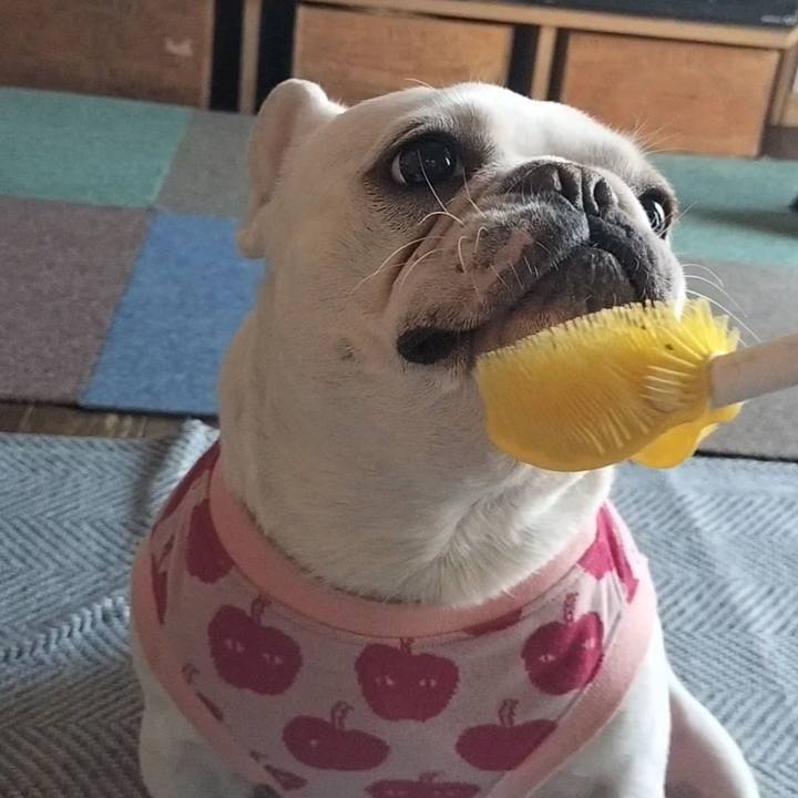 E12d0251 b1f5 490d a2f9 abe9e7eb67da 1678920011448