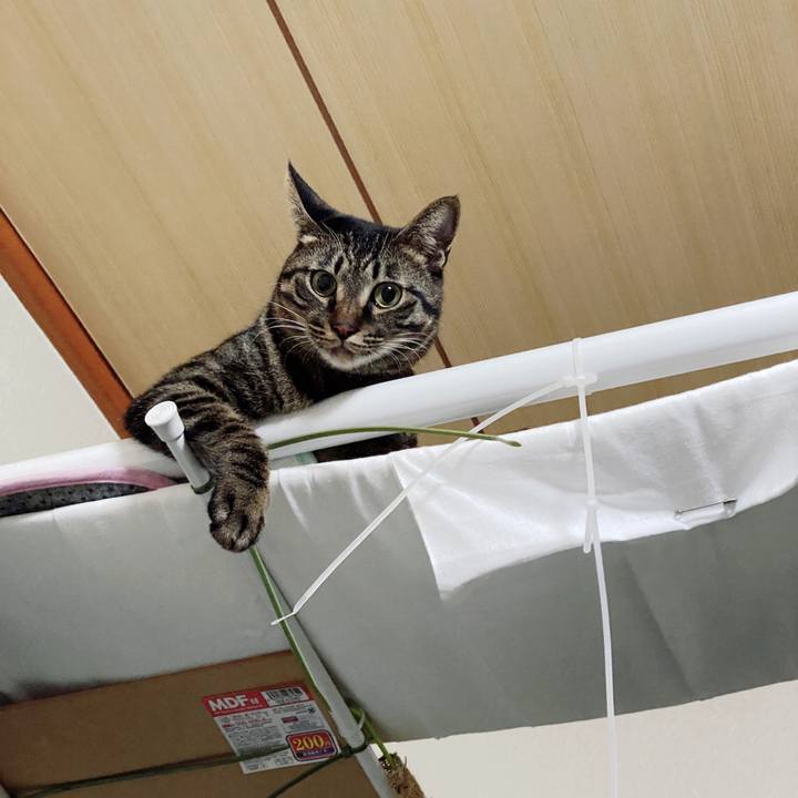 E12d1e34 068b 4b31 b8a3 5b0f17ca79c6 1578756954530