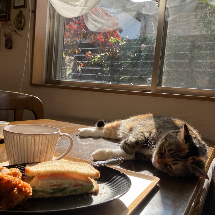 E12d23a5 4d66 4d4b 8343 b275c85d6688 1763610533364