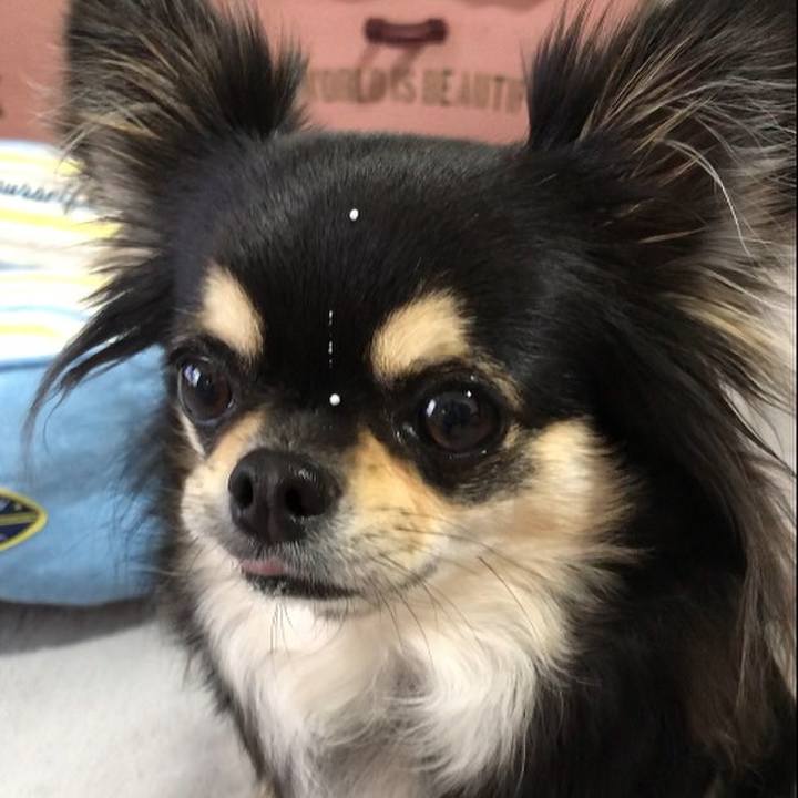 E12d3463 0ea1 4d55 9b93 f61212760b47 1591138334374