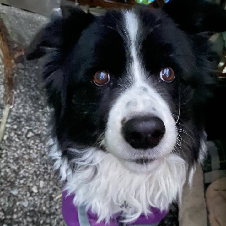 E12d664f 001e 4e85 a474 a44102f21bc4 1675721569870