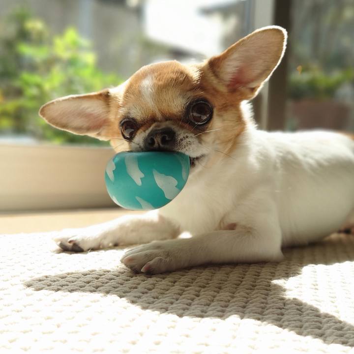 E12d743c 550d 4416 b1b6 c369800fcd18 1680246751454