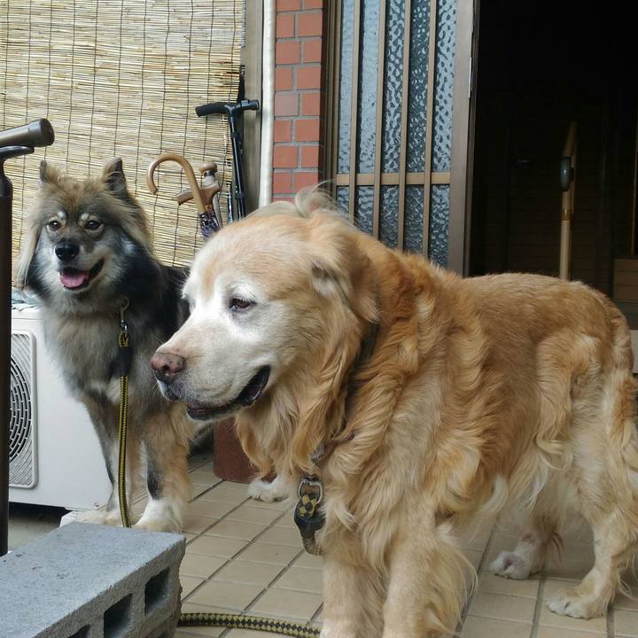 E12da712 68ab 47f7 b40e 752113bc9a36 1536141695005