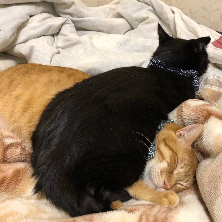 E12de54b 100b 4872 af48 3f691ce99aa1 1576913326020