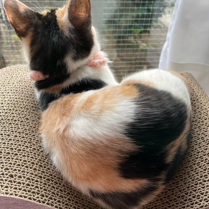 E12e02bb 8cc1 4cbd a260 f321879b5af4 1667776919855