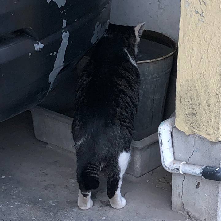 E12e5b03 d117 4e25 85b9 29e7dbf65ace 1605068803608