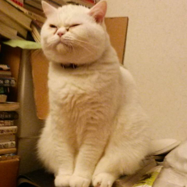 E12e5ff5 b609 4148 baae 93d3b578728f 1549966660974