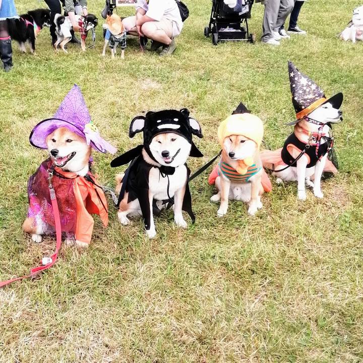 E12e86b4 46b4 4af3 a593 6c9d4712c3c8 1602428886113