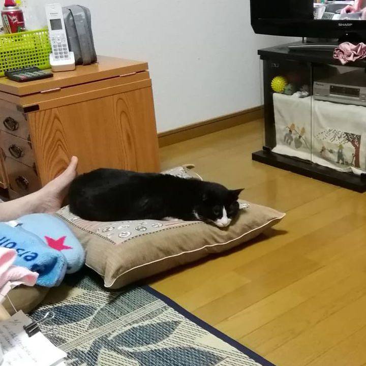 E12ebce8 0e6e 4d48 8558 fa27c588c3b2 1592219065059