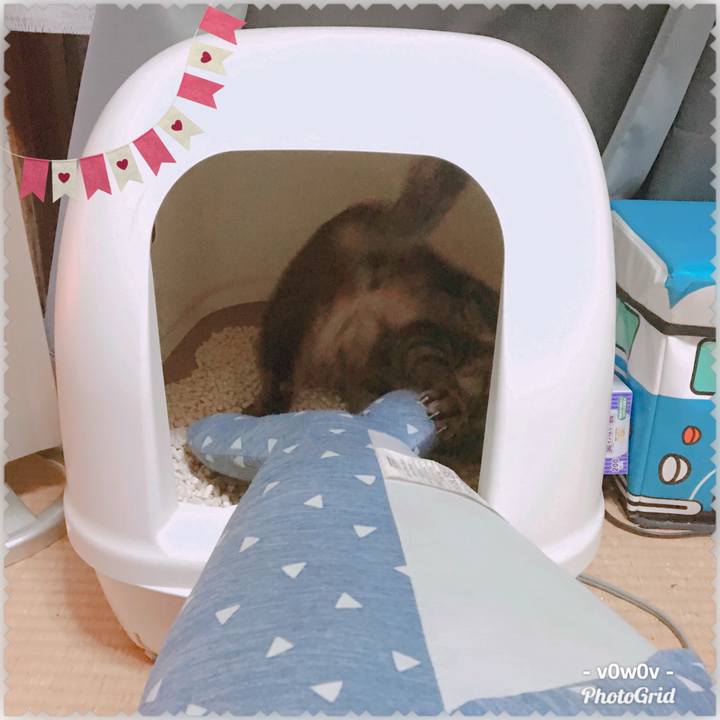 E12ede44 b83c 4911 babd 571379f483af 1543566106932