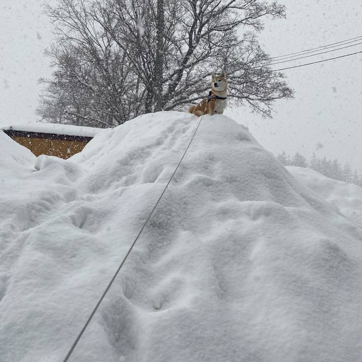 E12ef0ee d799 4bc6 93d0 45a2c04392cf 1611016494793