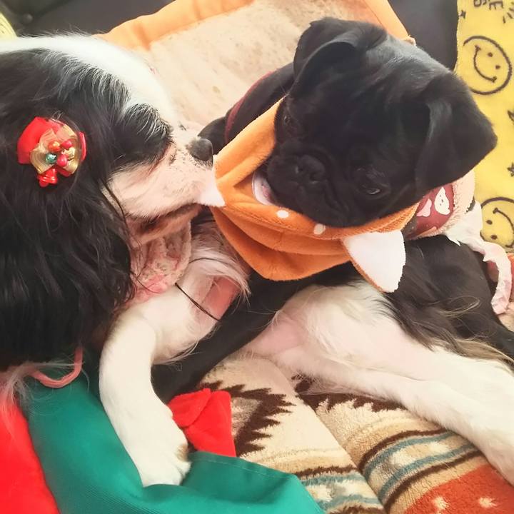 E12f096c ec3d 4507 bbd4 2e0e43eea39e 1515326100307