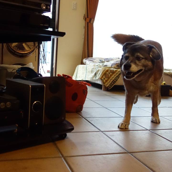 E12f2af5 6bcf 47b5 a64c dbac2a57343c 1554598833297