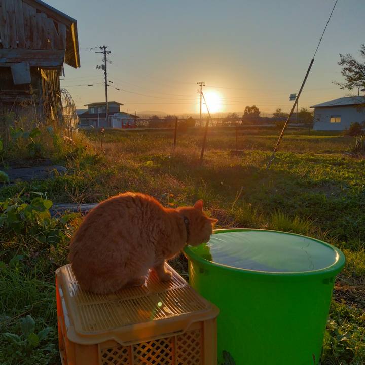 E12f2d8c 7f2a 4c88 8a39 429a6934d839 1697495863247