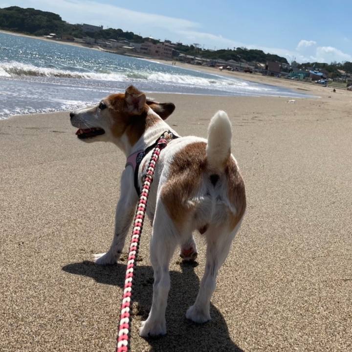 E12f4ef4 b6ba 4b9a 9813 6adfb9515f50 1602683846706