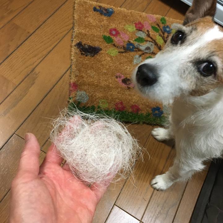 E12f850f cbef 42a3 b971 c71eec5e1cd6 1617665266845