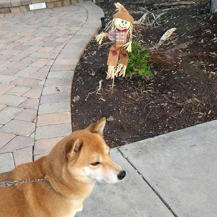 E12fa415 57b6 402d 9a75 511f19bacc5a 1510075253139