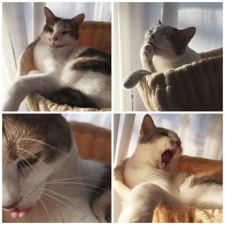 E12fd6ad e7c5 42e5 be81 a78334175e3f 1609229717868